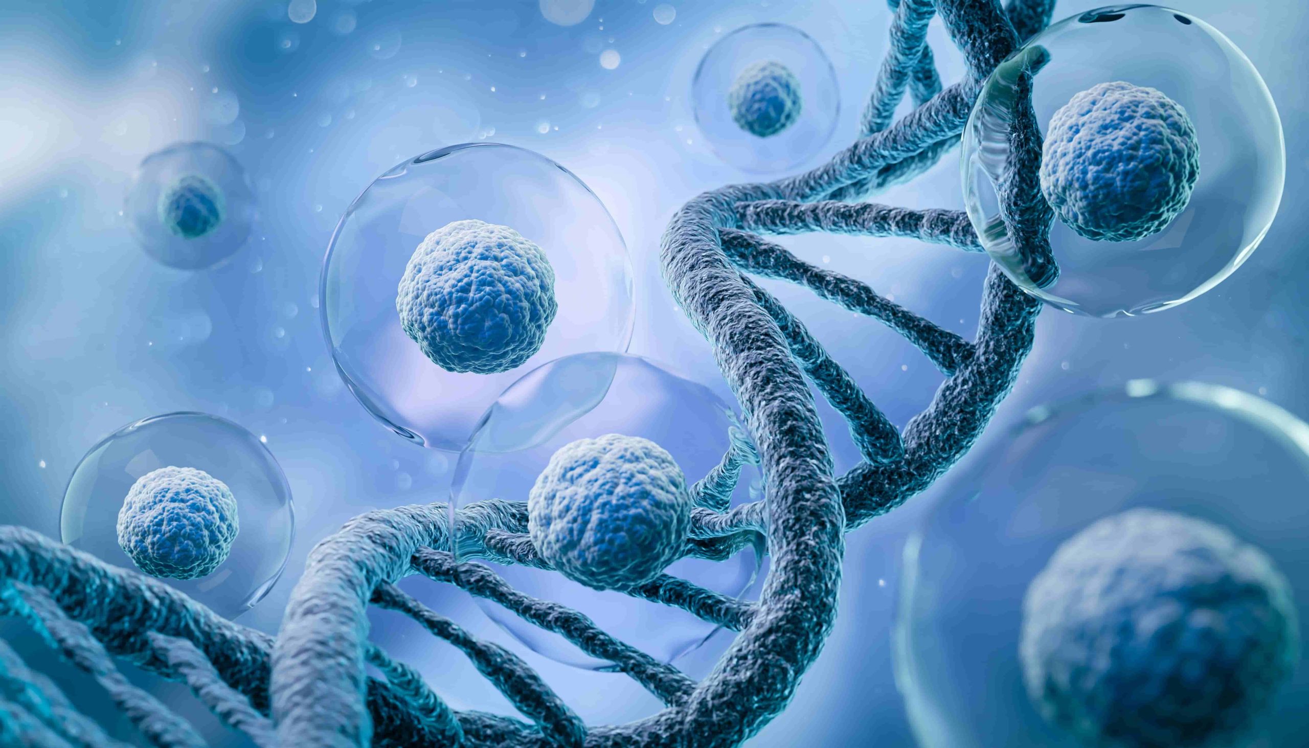 Formation Bioscience Bioscience & Co, Organisme de Formations Scientifiques